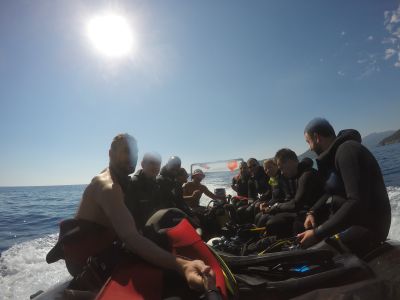 Škola ronjenja i ronilački klub | Alfa Diving Team Škola Ronjenja