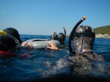 Free diver kurs, Ploče