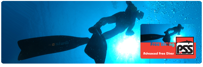 Advanced Free Diver Kurs